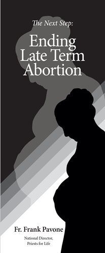 Picture of The Next Step: Ending Late Term Abortion