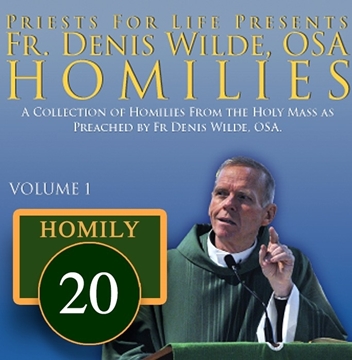 Homily by Fr. Denis Wilde, OSA -Lord for an Understanding Heart to Discern Right Wrong