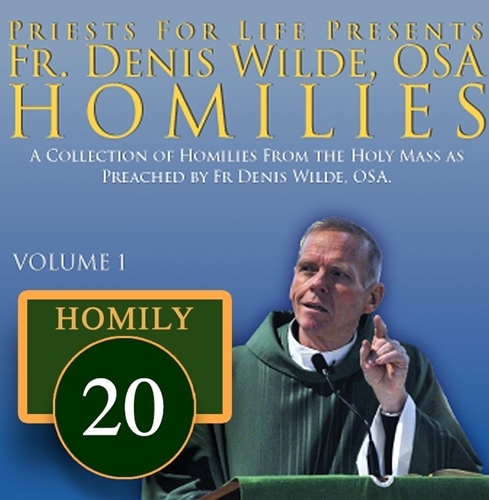 Homily by Fr. Denis Wilde, OSA -Lord for an Understanding Heart to Discern Right Wrong