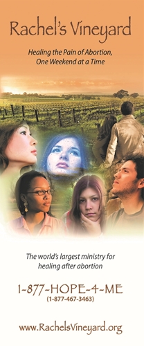 Picture of Rachel's Vineyard Brochure